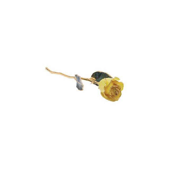 24K Roses - Lacquered Rose with Gold Trim - Yellow Rose