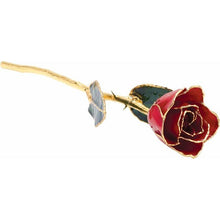 Load image into Gallery viewer, 24K Roses - Lacquered Rose with Gold Trim - Red Rose
