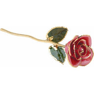24K Roses - Lacquered Rose with Gold Trim - Pink Rose