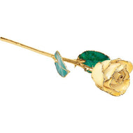 24K Roses - Lacquered Rose with Gold Trim - Cream Yellow Rose