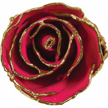 Load image into Gallery viewer, 24K Roses - Lacquered Rose with Gold Trim - Magenta Rose
