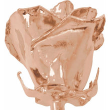 Load image into Gallery viewer, 24K Roses - Lacquered Rose with Gold Trim - Rose Gold-Plated Rose
