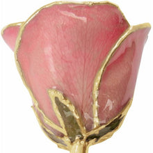 Load image into Gallery viewer, 24K Roses - Lacquered Rose with Gold Trim - Pink Rose
