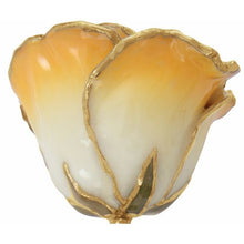 Load image into Gallery viewer, 24K Roses - Lacquered Rose with Gold Trim - Cream Yellow Rose
