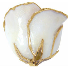 Load image into Gallery viewer, 24K Roses - Lacquered Rose with Gold Trim - Sparkle White Rose
