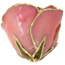 Load image into Gallery viewer, 24K Roses - Lacquered Rose with Gold Trim - Pink Pearl Rose
