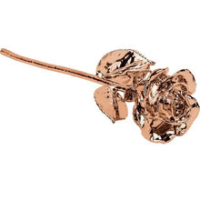 Load image into Gallery viewer, 24K Roses - Lacquered Rose with Gold Trim - Rose Gold-Plated Rose
