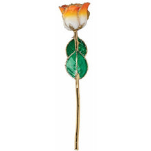 Load image into Gallery viewer, 24K Roses - Lacquered Rose with Gold Trim - Cream Orange Rose
