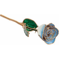 24K Roses - Lacquered Rose with Gold Trim - Cream Blue Rose