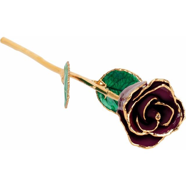 24K Roses - Lacquered Rose with Gold Trim - Burgundy Rose