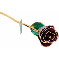 24K Roses - Lacquered Rose with Gold Trim - Burgundy Rose