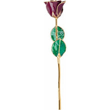 Load image into Gallery viewer, 24K Roses - Lacquered Rose with Gold Trim - Burgundy Rose
