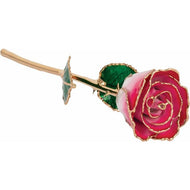 24K Roses - Lacquered Rose with Gold Trim - Cream Red Rose
