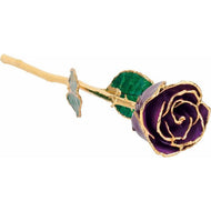 24K Roses - Lacquered Rose with Gold Trim - Purple Rose