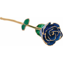 Load image into Gallery viewer, 24K Roses - Lacquered Rose with Gold Trim - Blue Sapphire Colored Rose
