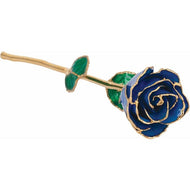 24K Roses - Lacquered Rose with Gold Trim - Blue Sapphire Colored Rose