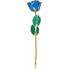 Load image into Gallery viewer, 24K Roses - Lacquered Rose with Gold Trim - Blue Sapphire Colored Rose
