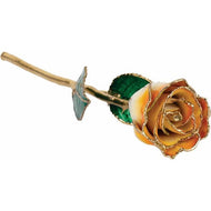 24K Roses - Lacquered Rose with Gold Trim - Cream Orange Rose