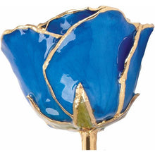 Load image into Gallery viewer, 24K Roses - Lacquered Rose with Gold Trim - Blue Sapphire Colored Rose
