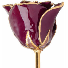 Load image into Gallery viewer, 24K Roses - Lacquered Rose with Gold Trim - Burgundy Rose
