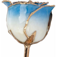 Load image into Gallery viewer, 24K Roses - Lacquered Rose with Gold Trim - Cream Blue Rose
