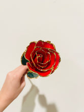 Load image into Gallery viewer, 24K Roses - Lacquered Rose with Gold Trim - Red Rose
