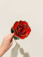 24K Roses - Lacquered Rose with Gold Trim - Red Rose