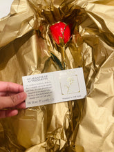 Load image into Gallery viewer, 24K Roses - Lacquered Rose with Gold Trim - Red Rose
