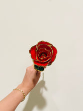 Load image into Gallery viewer, 24K Roses - Lacquered Rose with Gold Trim - Red Rose
