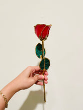 Load image into Gallery viewer, 24K Roses - Lacquered Rose with Gold Trim - Red Rose
